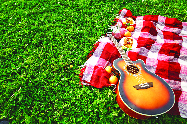 42735847 - picnic with guitar music on grass. summer vacations. selective focus. space for your text.