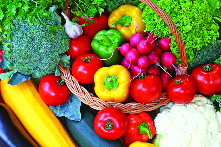 15015684 - mix of a colorful vegetables, bird