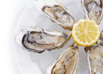 Raw oysters for Shell It Out - Hamptons