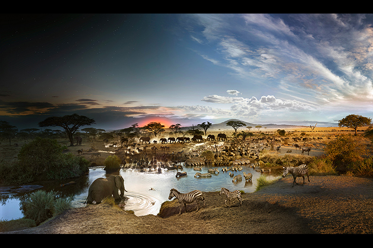 Seronera National Park, Serengeti, Tanzania