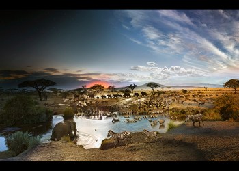 Seronera National Park, Serengeti, Tanzania