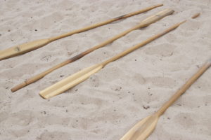 Oars lined up for the Whalers Cup races