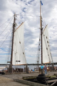 The Mystic Whaler