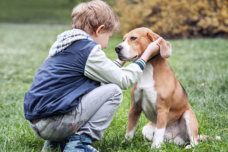 39571009 - two best friends - boy and his dog