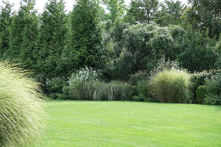 Fenelon Landscapes Talk Fall Maintenance and More