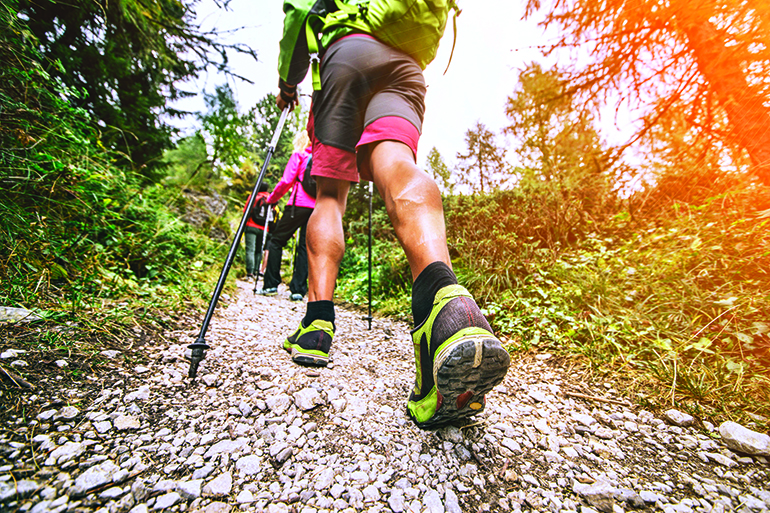 47119776 - group of hikers walking in the nature at sunset - friends taking an excursionon a mountain,colse up on shoe