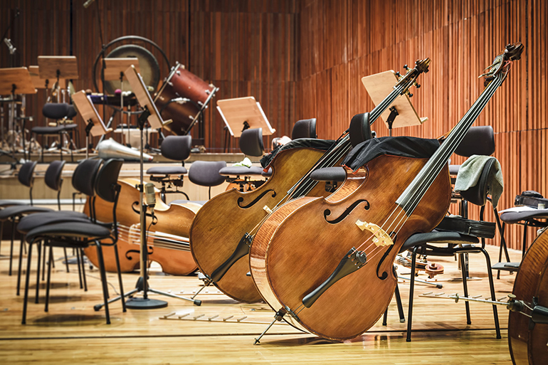 50237856 - cello music instruments on a stage