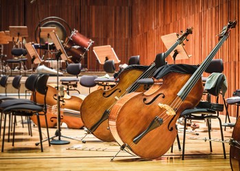 50237856 - cello music instruments on a stage