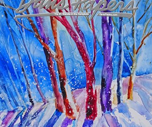 CVR_SusanSterber.indd