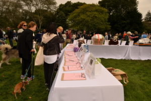 Tables at the ARF Stroll to the Sea Dog Walk