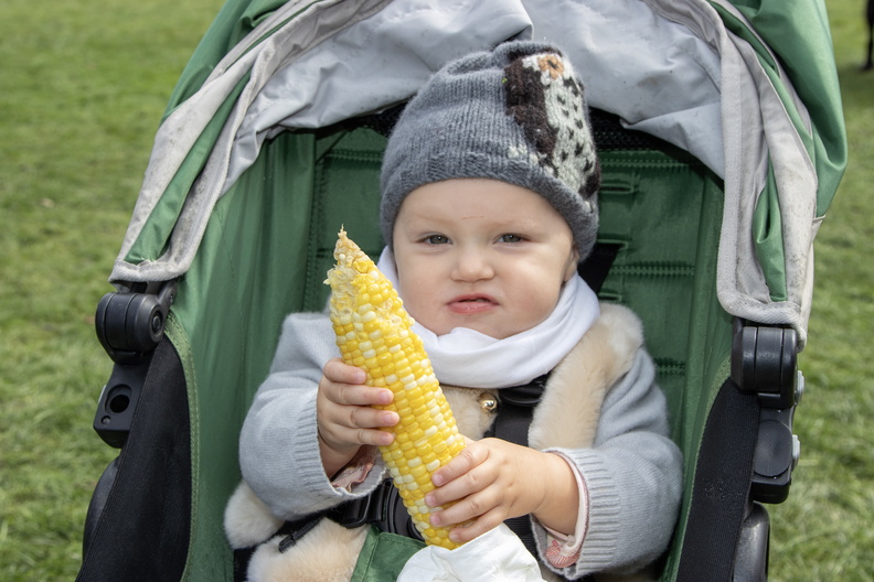 Louisa age 1 enjoys local sweet corn at the festival