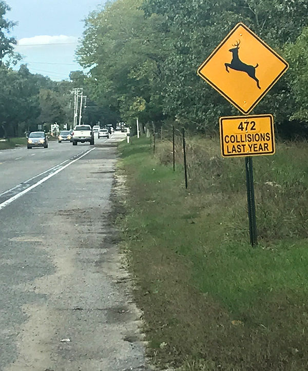 Deer crossing sign mourns the dead