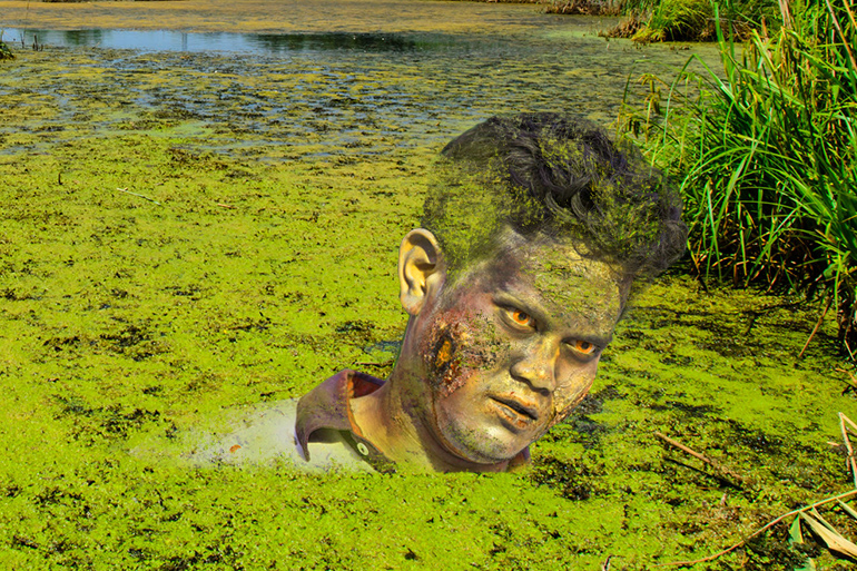 Lake Agawam Blue-Green Algae Victim Halloween Costume