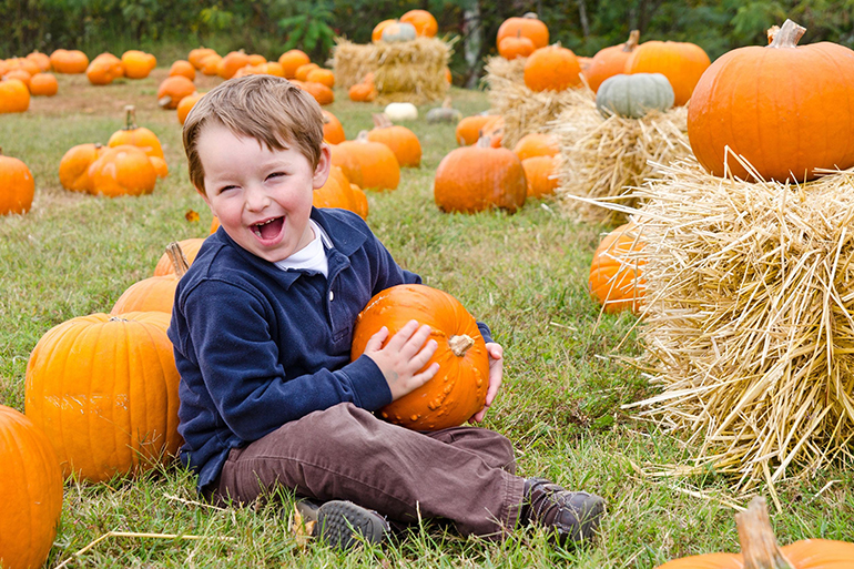 10997770 - happy young boy picking a pumpkin for halloween
