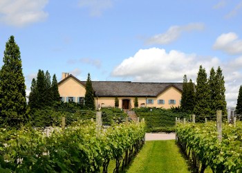 Wolffer Estate Vineyards, Sagaponack