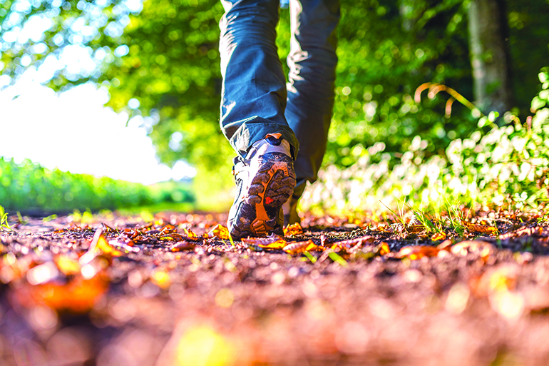 Closeup of male legs hiking in nature.