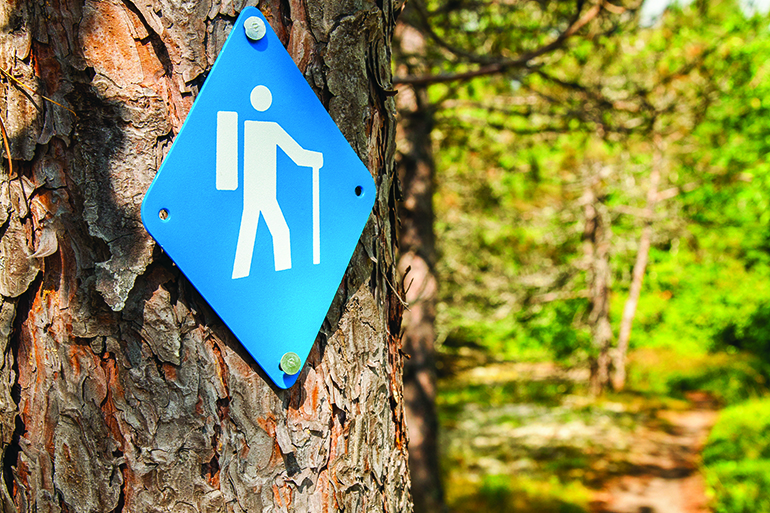 Hiking Trail Marker at Lake Superior Provincial Park