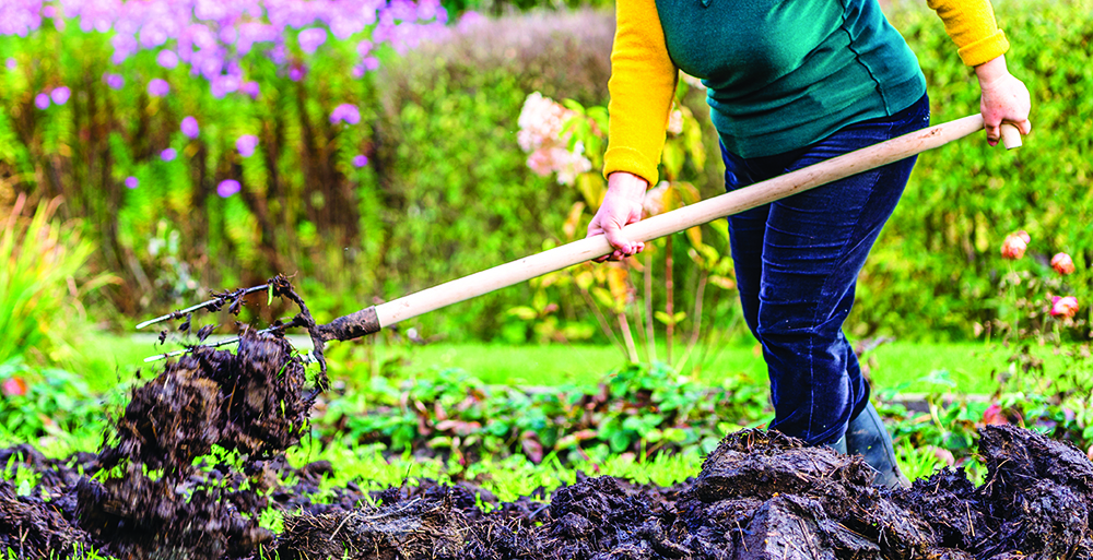 Working farmer in the garden. Organic fertilizer for manuring soil, preparing field for planting in spring, bio farming or autumn gardening concept