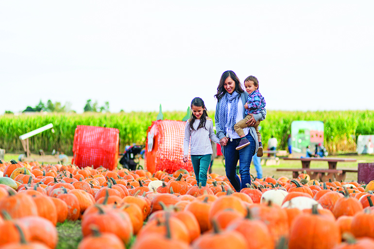 Beautiful ethnic mom and her daughters at the pumpkin farm!