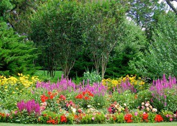 Colorful Unlimited Earth Care flower garden int he Hamptons