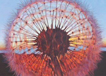 November 16, 2018 Dan's Papers cover art (detail) by Scott Hewett