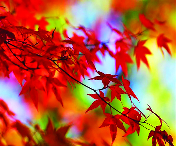 "The Fall" by Ron Nicoletta, Photo: Courtesy Southampton Artists Association