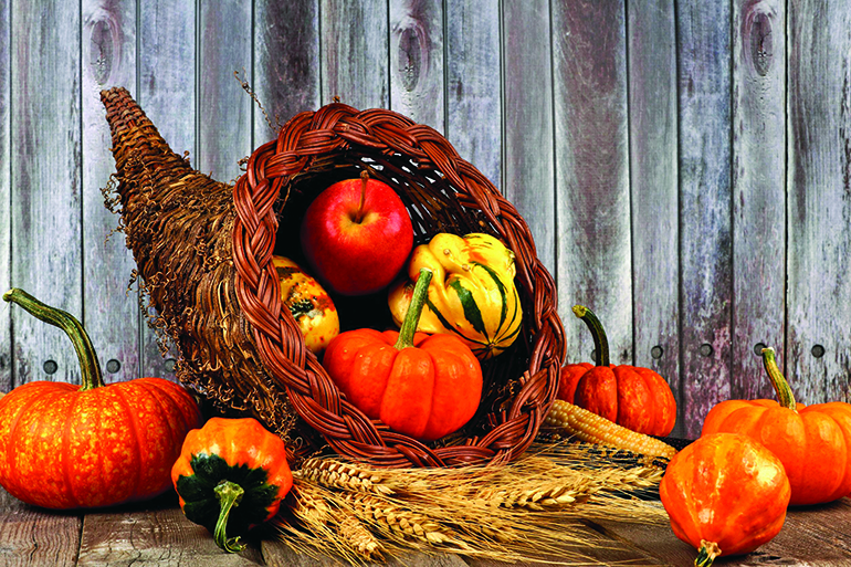 harvest cornucopia with pumpkins, apples and gourds on rustic wood background