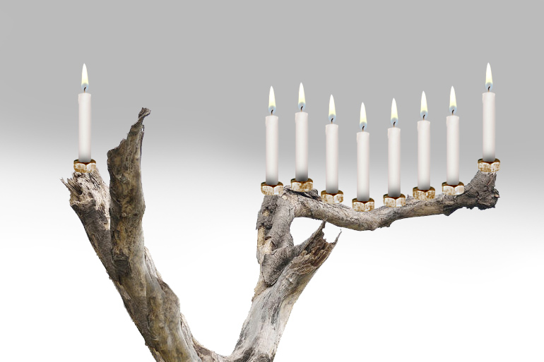 Tree branch and nut menorah