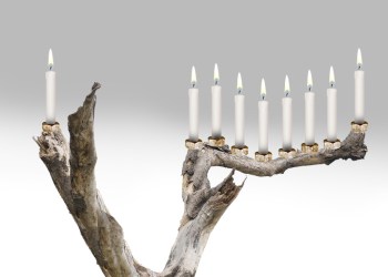 Tree branch and nut menorah