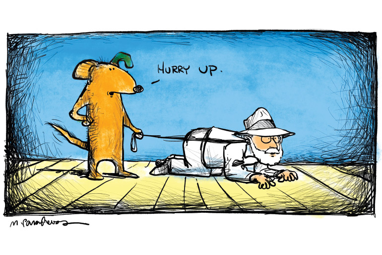 Dog walking Dan cartoon by Mickey Paraskevas