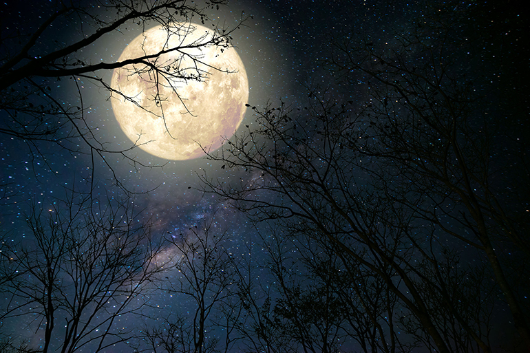 beautiful milky way star in night skies, full moon and old tree - retro fantasy style artwork with vintage color tone.