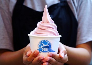 Hands holding cup of strawberry frozen yogurt, froyo, with Dan's Best of the Best 2018 blue ribbon logo on it