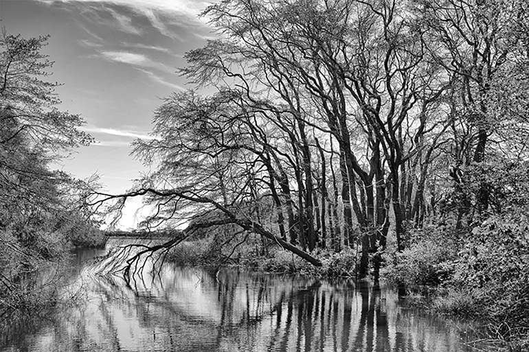 Photo by Paul Dempsey, Image: Courtesy Southampton Artists Association