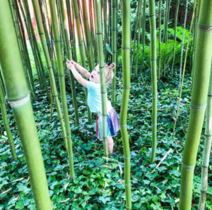 A Shine camper playing on the LongHouse Reserve