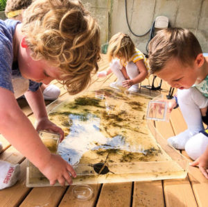 Shine campers visiting South Fork Natural History Museum