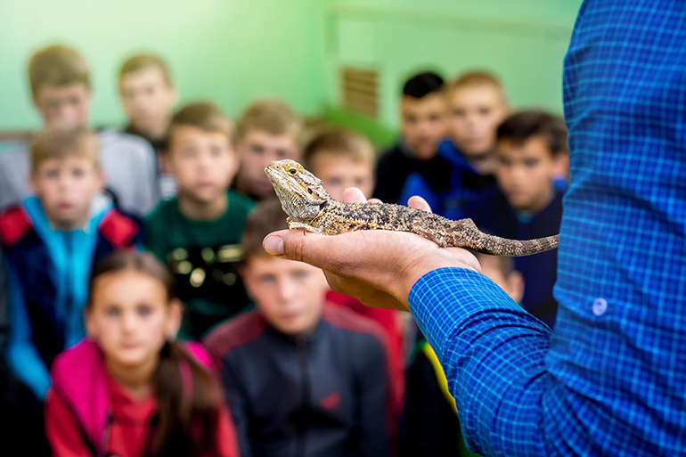 Ukraine. Khmelnytsky region. May 2018. Man holds a gray lizard on his hand and shows it to children