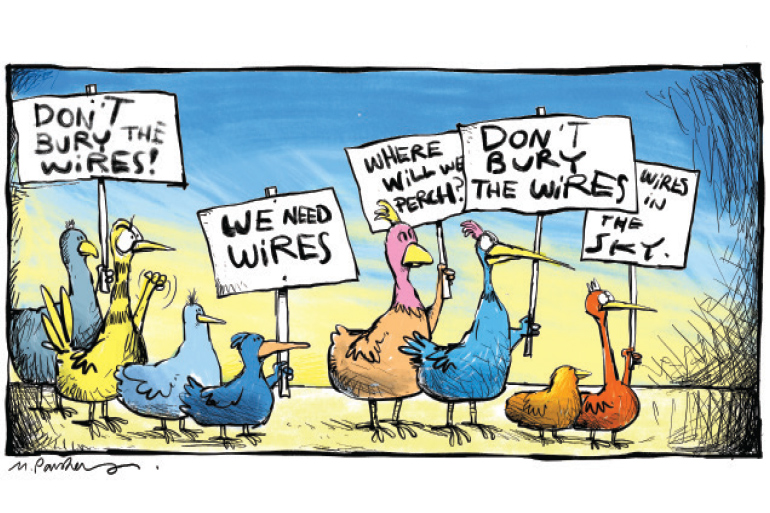 Birds say don't bury the lines cartoon by Mickey Paraskevas