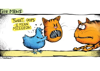 Fake news Twitter cat cartoon by Mickey Paraskevas