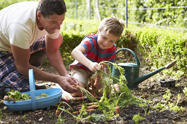 gardening