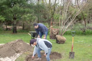 Jorge Marques and Ivan Hernandez help plant a crepe myrtle