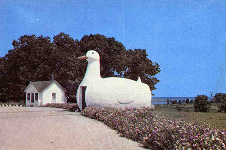 Big Duck postcard