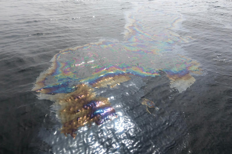Coimbra oil slick today