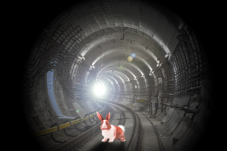 Pink Somali bunny in Hamptons Subway tunnel