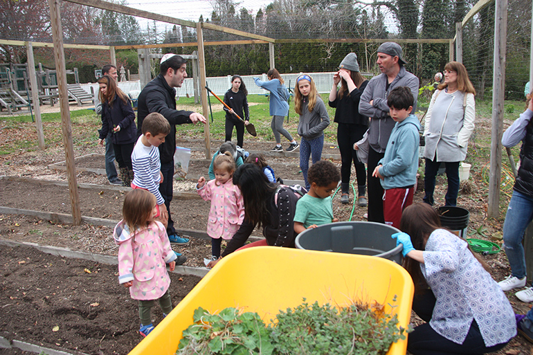 In the garden for Mitzvah Day