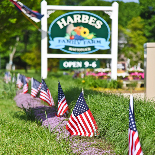 Memorial Day Weekend at Harbes, Photo: Courtesy Harbes Family Farm