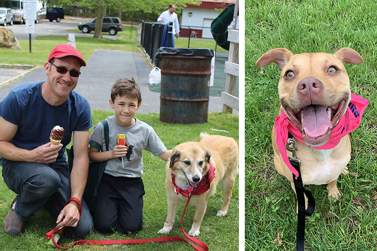 Southampton Animal Shelter Foundation Paws in the Park