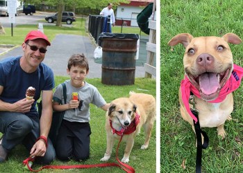 Southampton Animal Shelter Foundation Paws in the Park