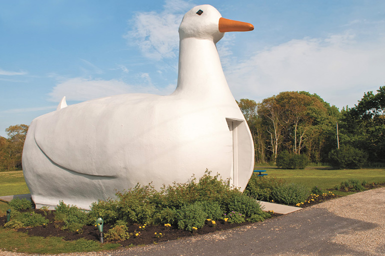 The Big Duck in Flanders