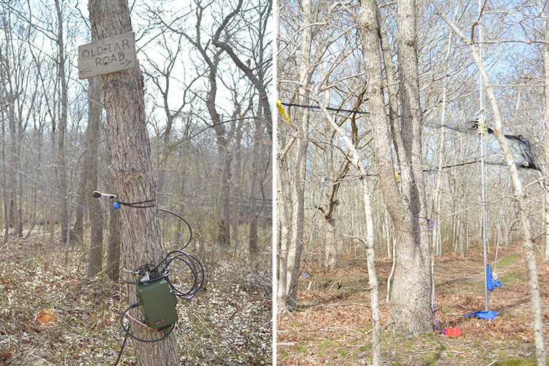 Hither Hills State Park, Photos: David Taylor