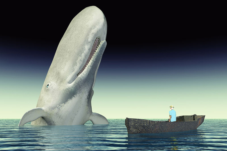 Dan vs Moby Dick cartoon